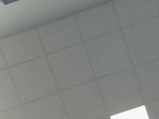 snapshot T2212