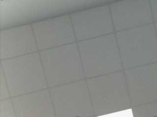 snapshot T2213